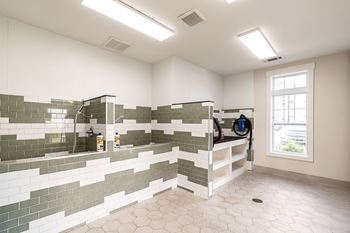 A bathroom with a tiled wall and a window.